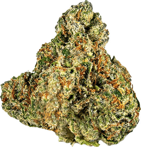 Kosher Dawg